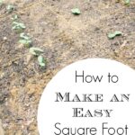 How to make an easy square foot garden today! This post explains step by step what is needed and makes it simple enough for the average person to accomplish. Great tips!