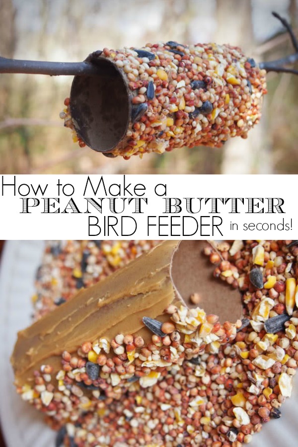 Here's a simple way to make a DIY peanut butter bird feeder. This takes seconds and is so much fun for kids. No string or twine needed.