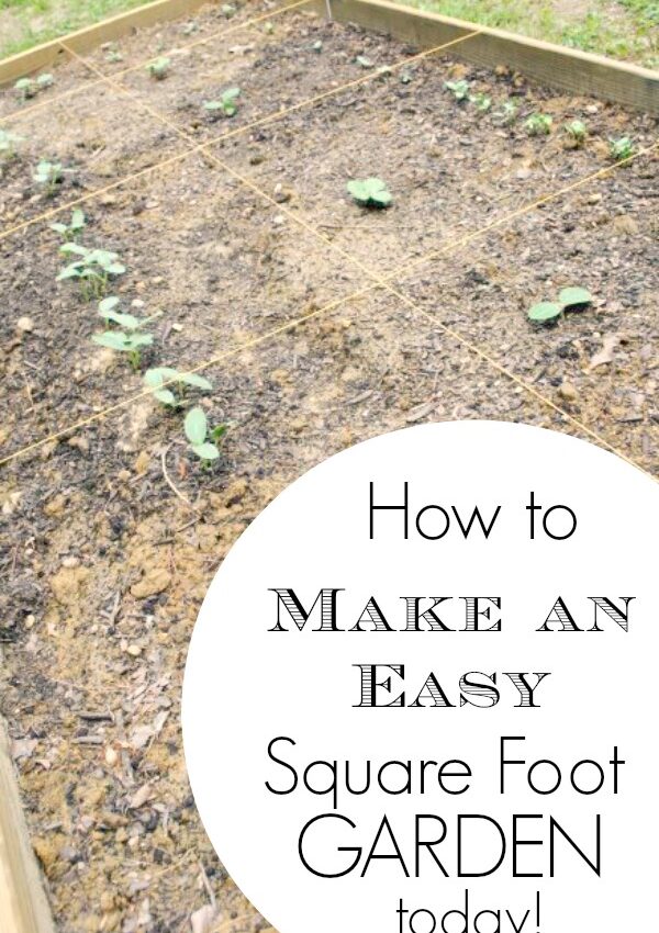 How to Make an Easy Square Foot Garden