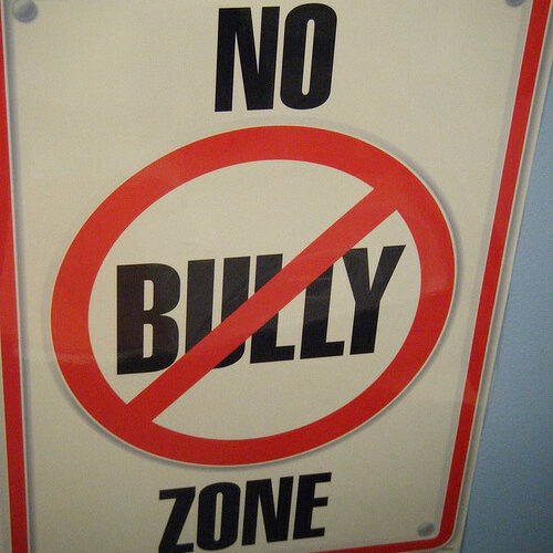 no bully zone