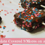 chocolate covered smores on a stick