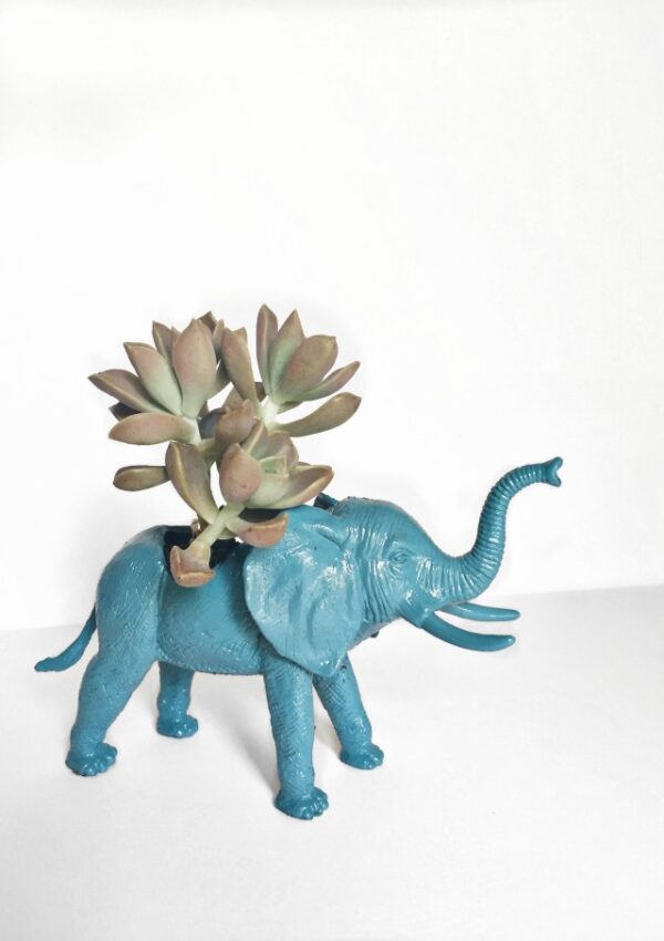Simple and Fun Elephant Planter Tutorial: Elephant & Piggie GIVEAWAY