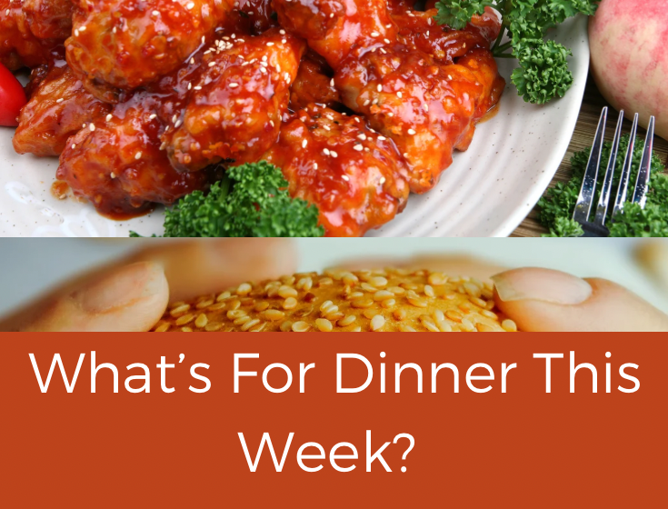 What’s For Dinner This Week? Jan 23-29